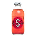 Детоксикация и тонус - Био брезов сок с червени боровинки, 330 ml