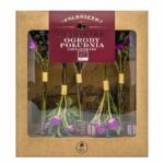 Лиофилизиран чай Южна градина Био, 10 g