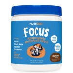 Рейши + Лъвска грива + Гуарана – Фокус и устойчивост при стрес, 246 g прах с вкус на какао