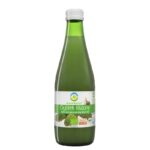 Сок от кисели краставици БИО – Електролитен баланс и храносмилателна подкрепа, 300 ml