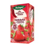 Чай Градинска и Дива Ягода, 20 филтърни пакетчета